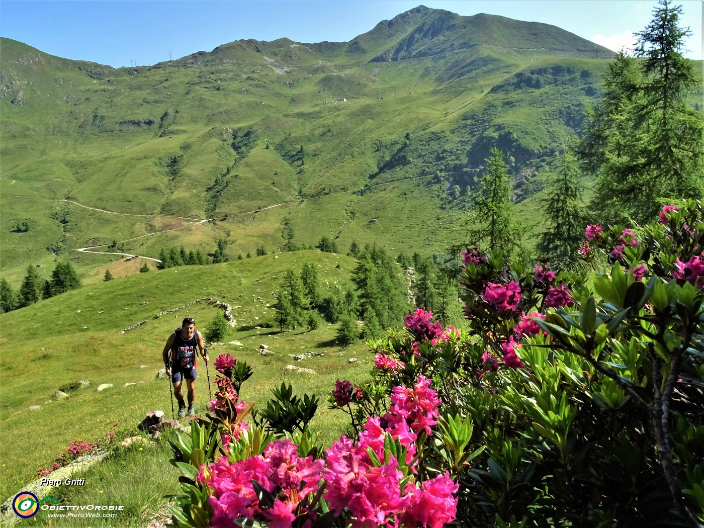 22 Rhododendron ferrugineum (Rododendro rosso) con vista sulla Casera 'I Palla' e verso San Marco..JPG